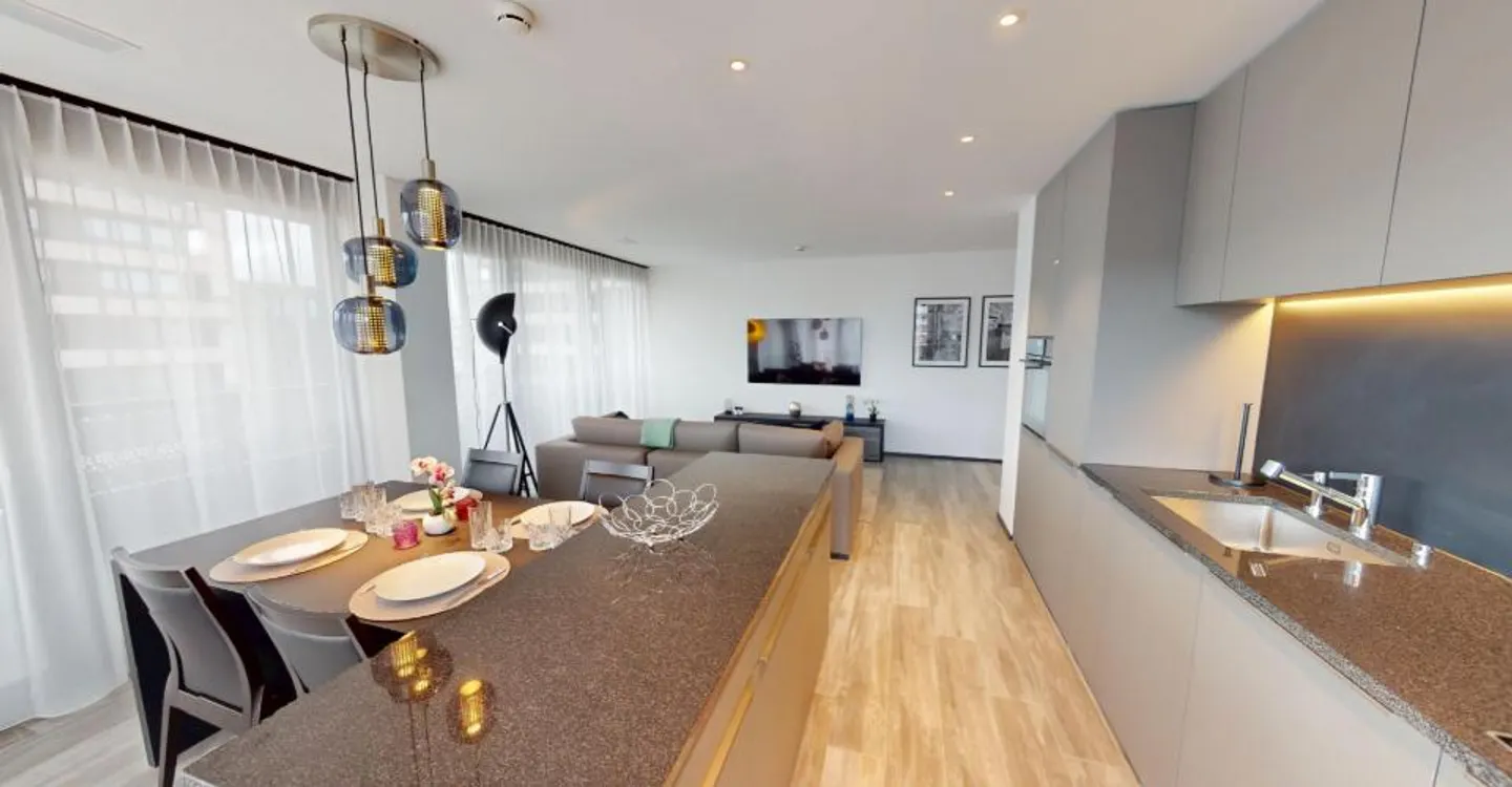 Modern Furnished Apartment Near Zurich - Photo 20 of 27
