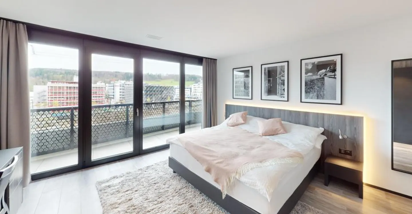 Modern Furnished Apartment Near Zurich - Photo 21 of 27