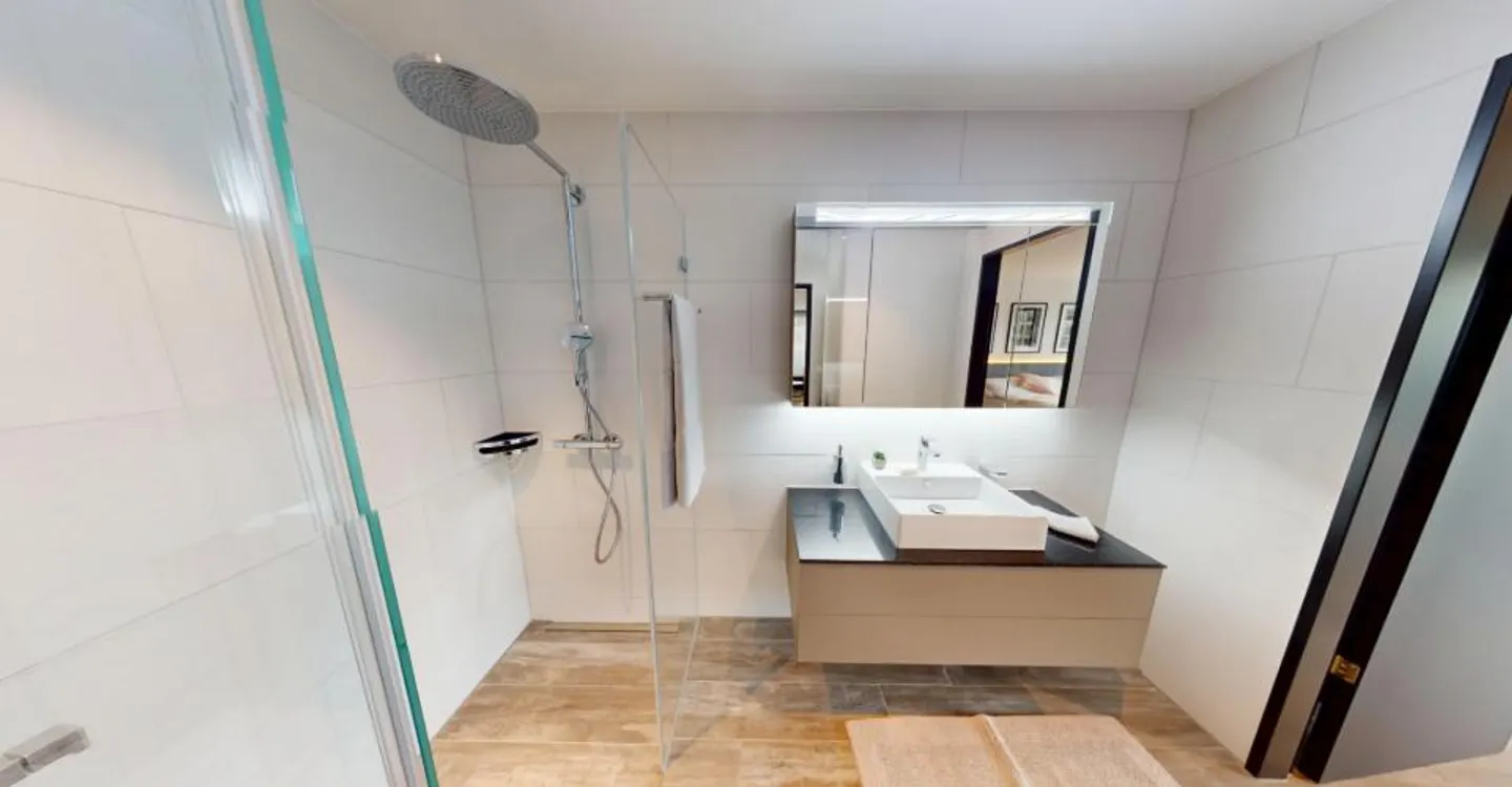 Modern Furnished Apartment Near Zurich - Photo 25 of 27