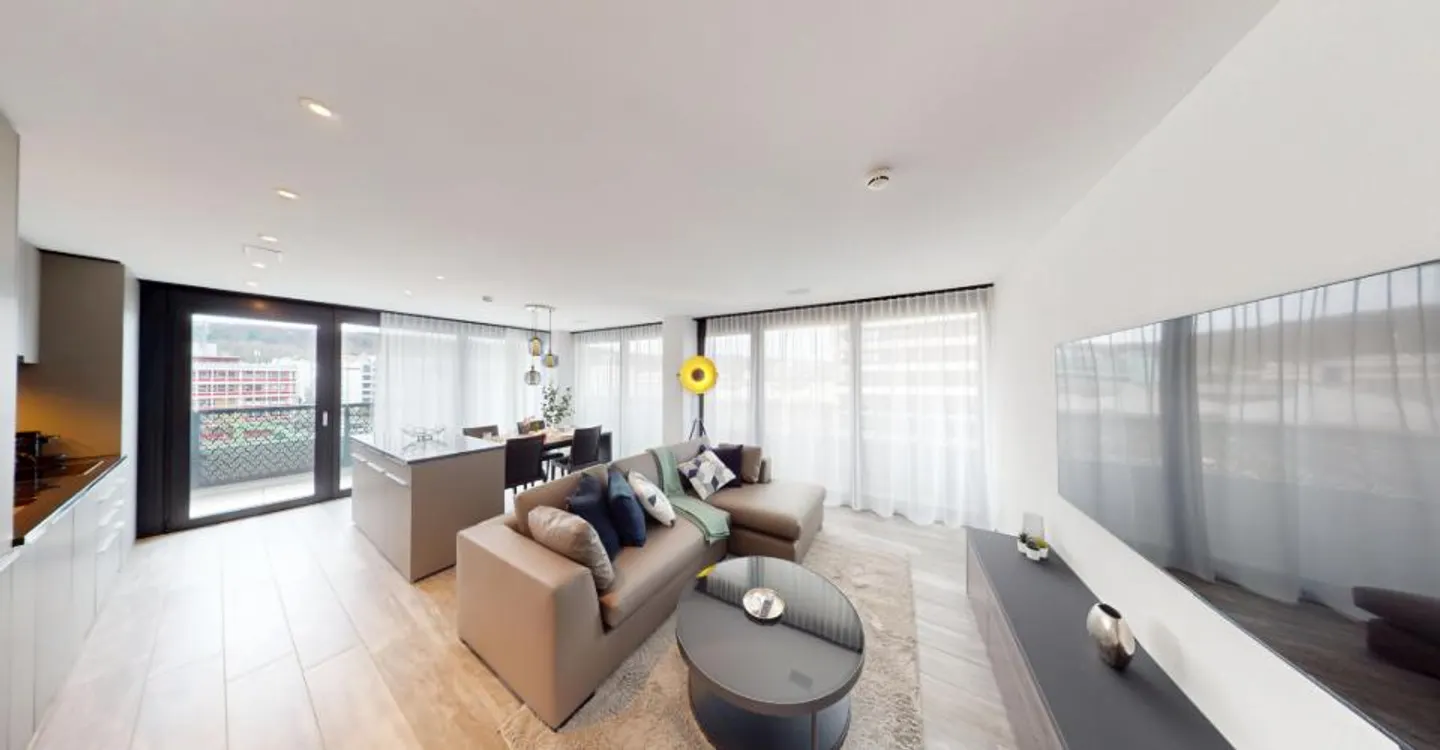 Modern Furnished Apartment Near Zurich - Photo 26 of 27