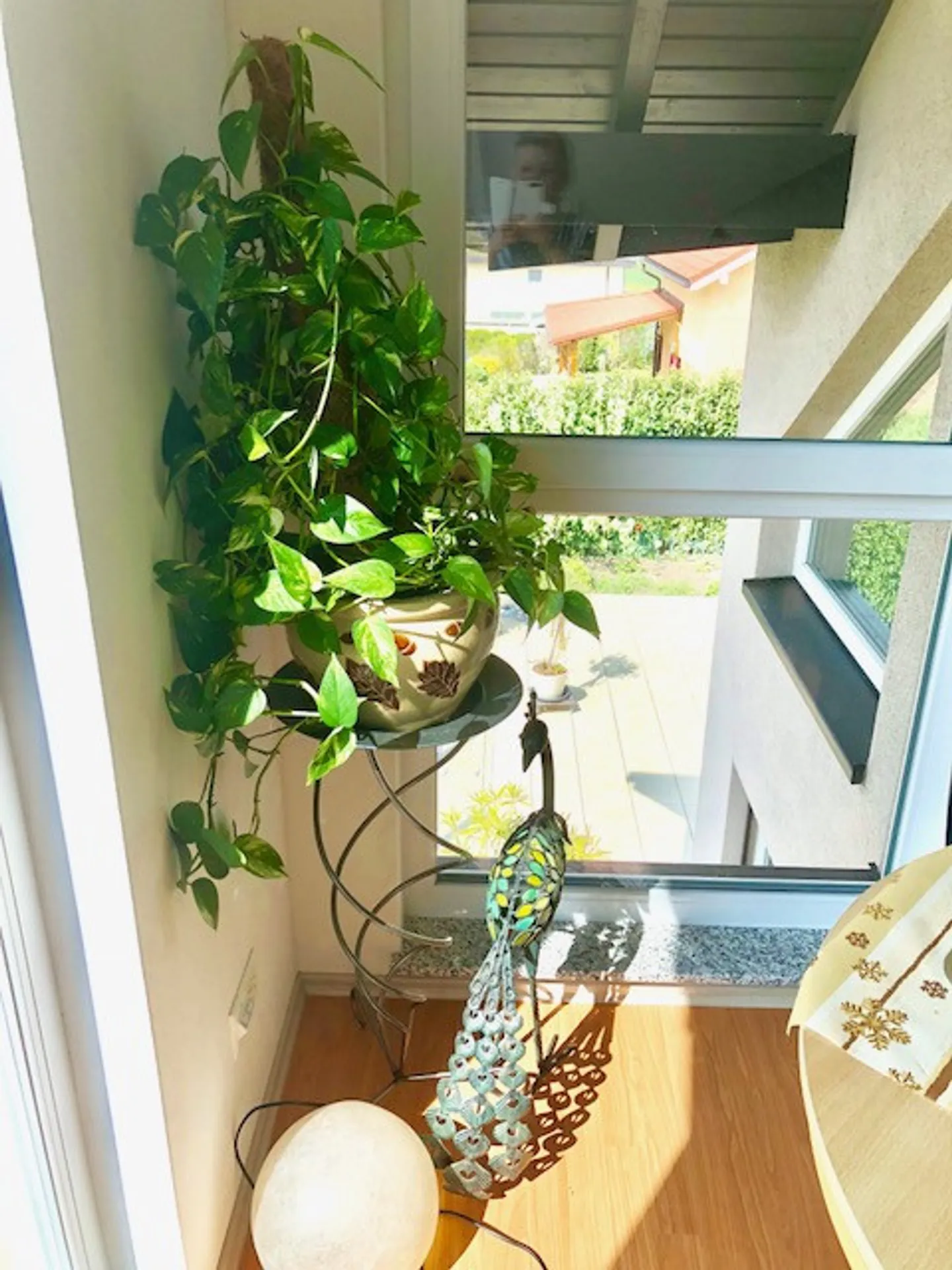 Villa familiale exceptionnelle avec piscine - Photo 7 sur 8