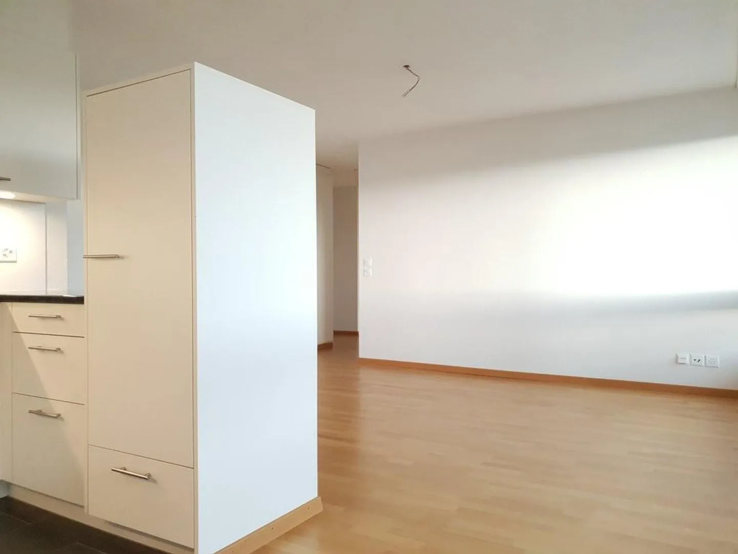 Modern living between the Aare and Bern's local mountain - Photo 4 of 8