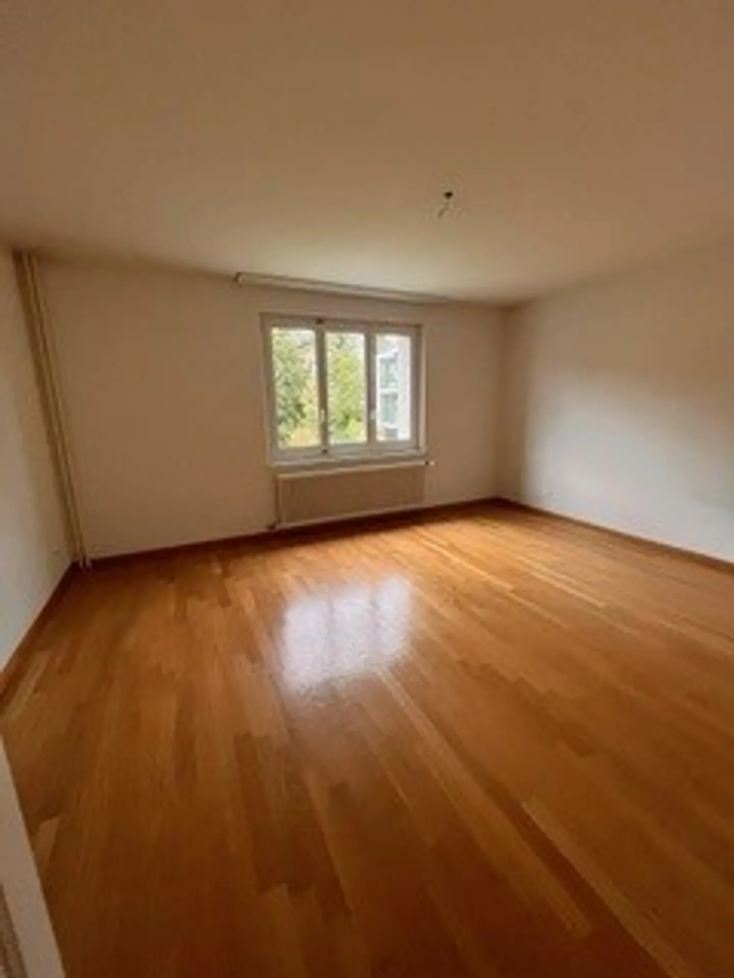 1-Zimmer-Wohnung - Foto 1 von 3