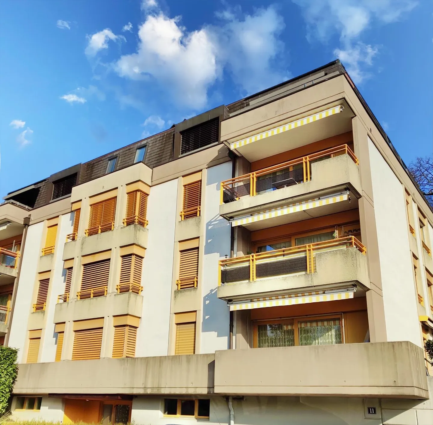 Indoor Park - Photo 1 of 1