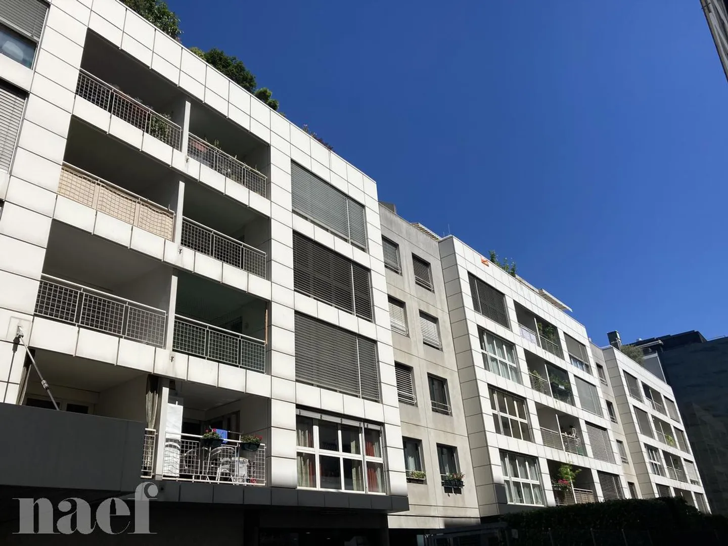 5-Zimmer-Wohnung - Foto 1 von 11