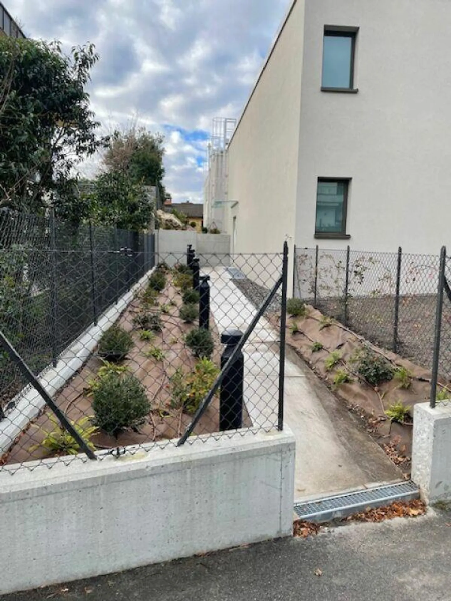 Affittiamo splendido 2.5 locali con giardino - Foto 21 di 22