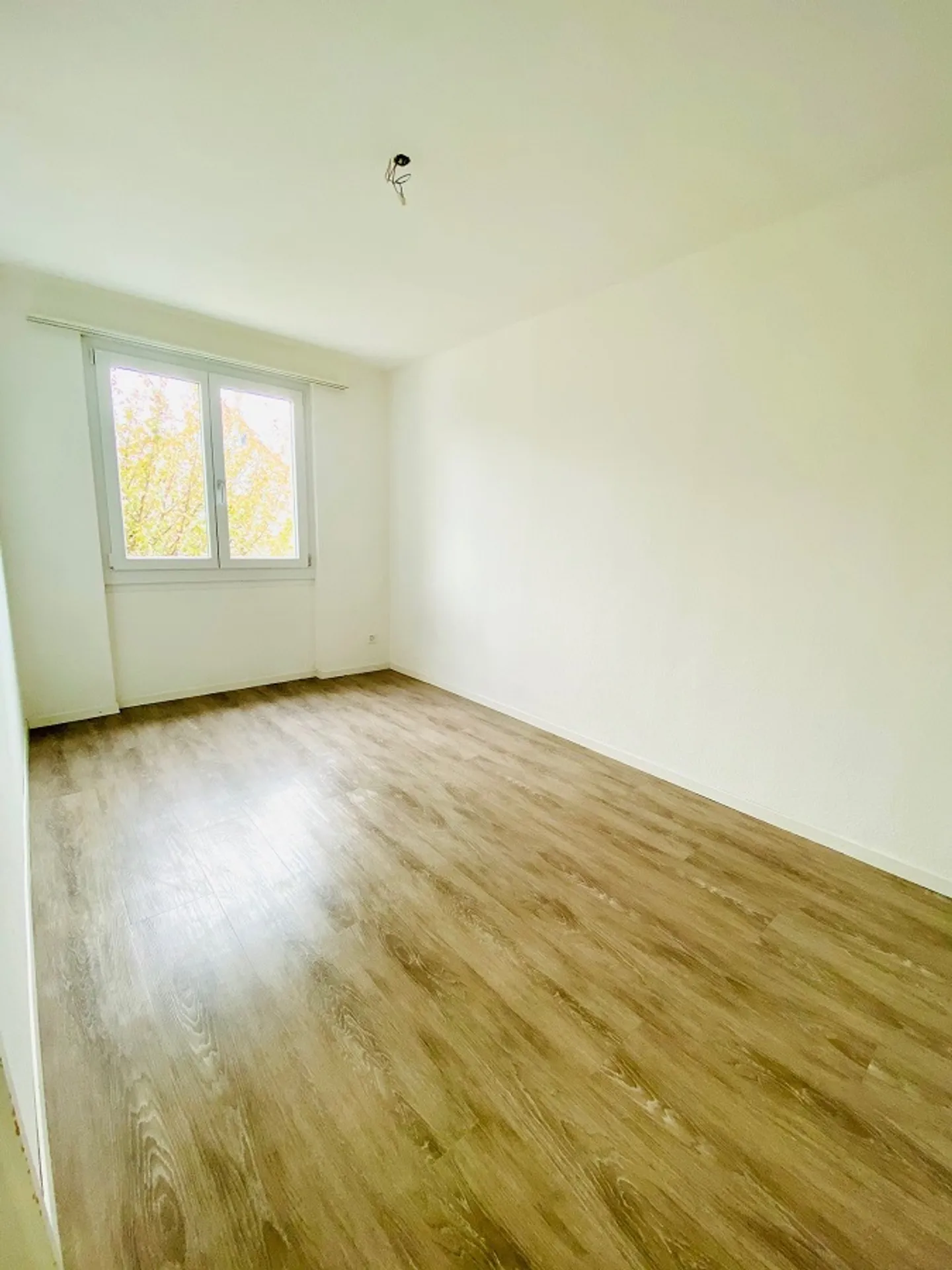 4.5 Room Apartment - Photo 4 of 8