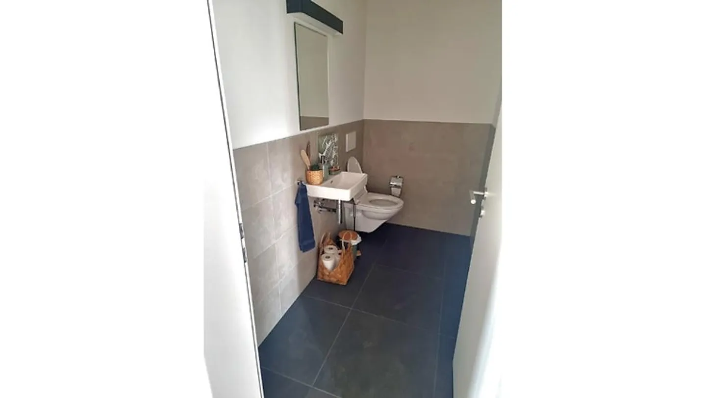 3½ ROOM PENTHOUSE APARTMENT IN WEINFELDEN (TG), FURNISHED, TEMPORARY - Photo 8 of 10