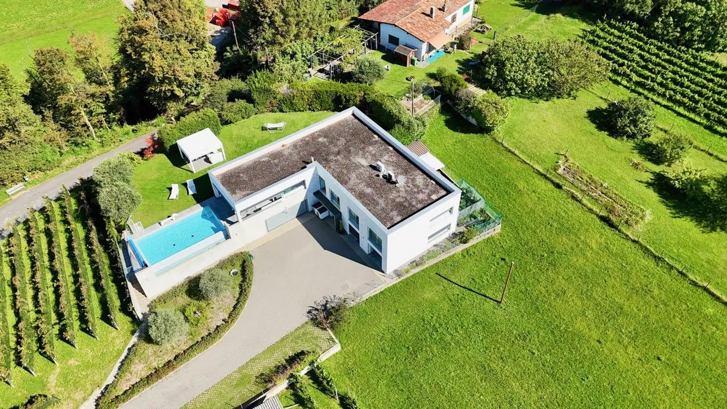 Prestigious Contemporary Villa with Garden, Pool and Private Vineyard - Photo 7 of 30