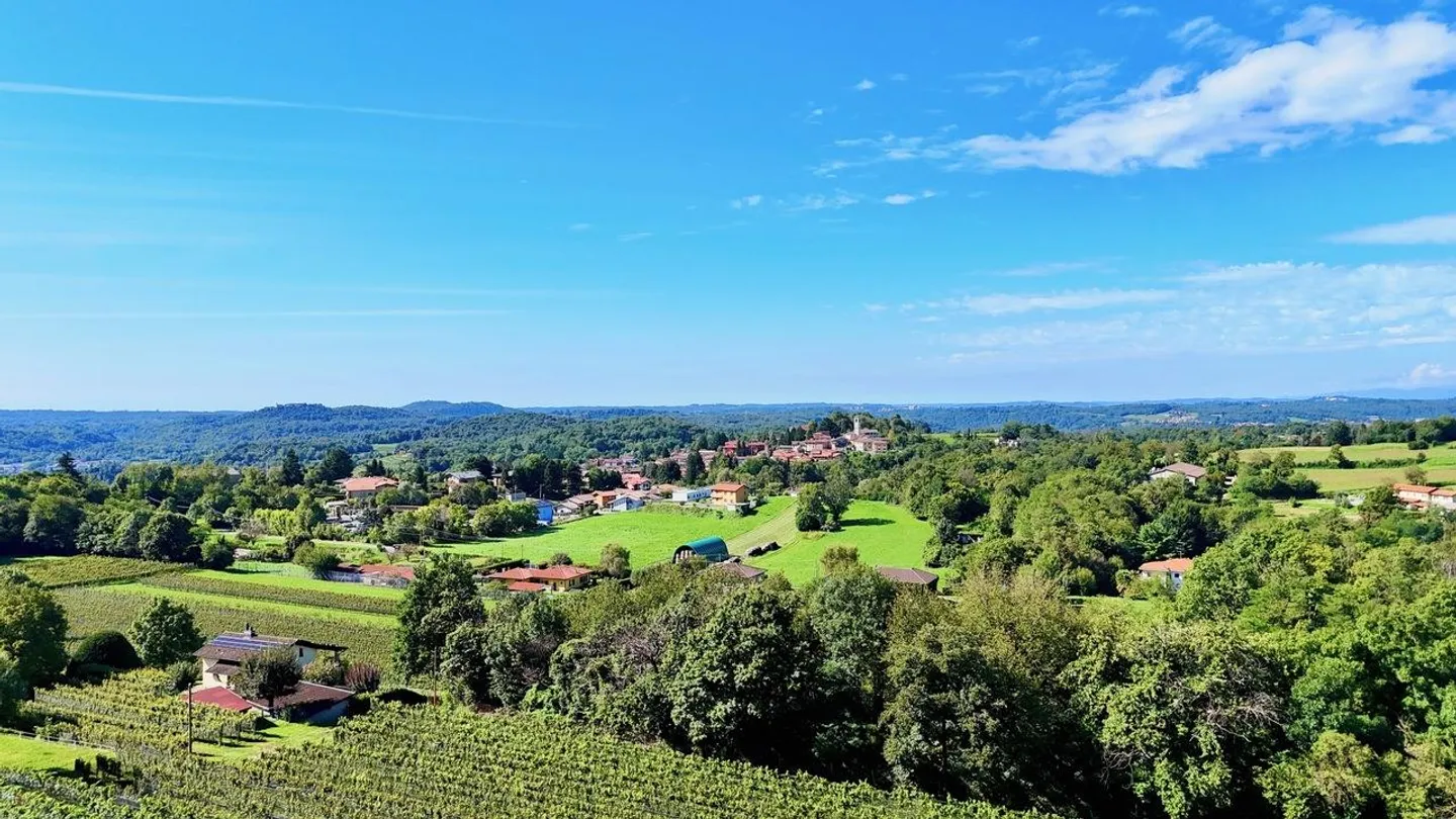 Prestigious Contemporary Villa with Garden, Pool and Private Vineyard - Photo 8 of 30