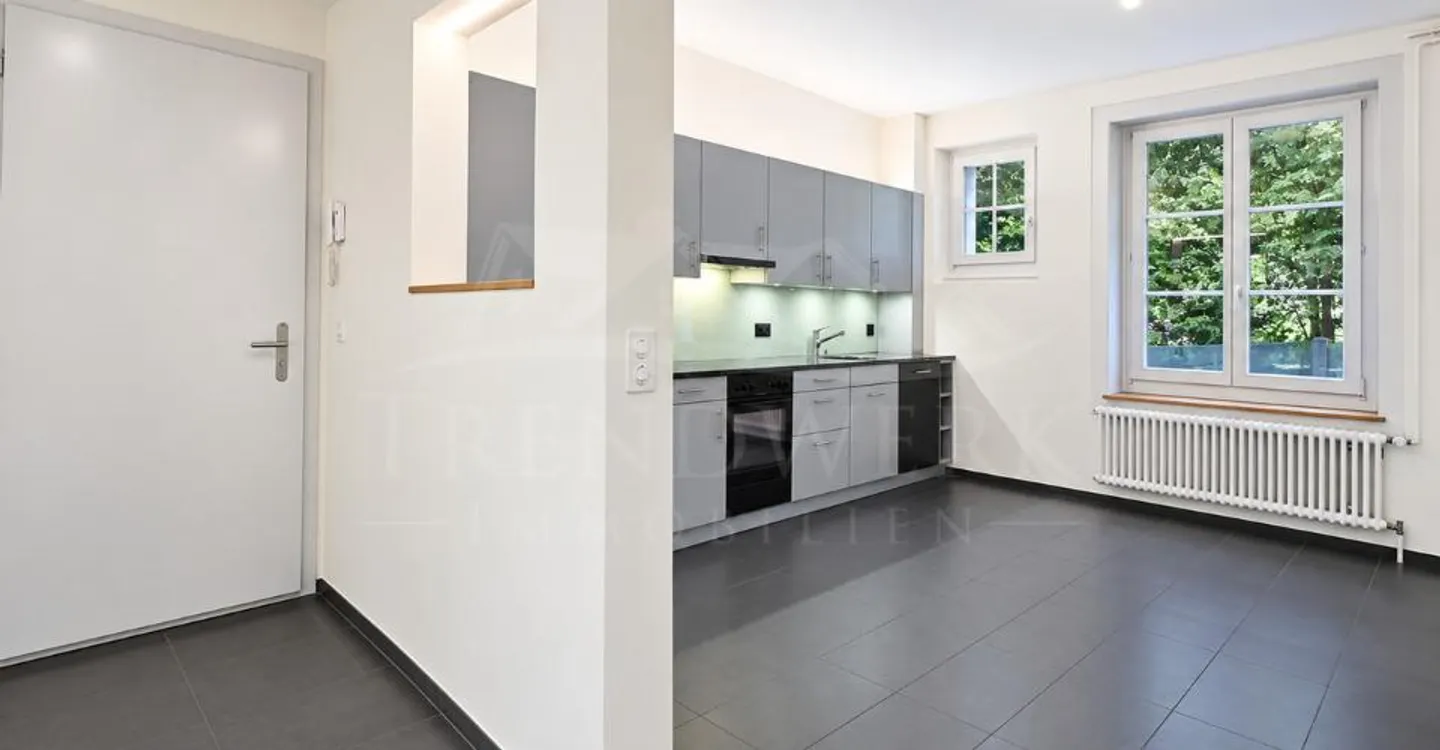 Appartement de jardin de 3 pièces fraîchement rénové à louer à Berne - Photo 1 sur 12