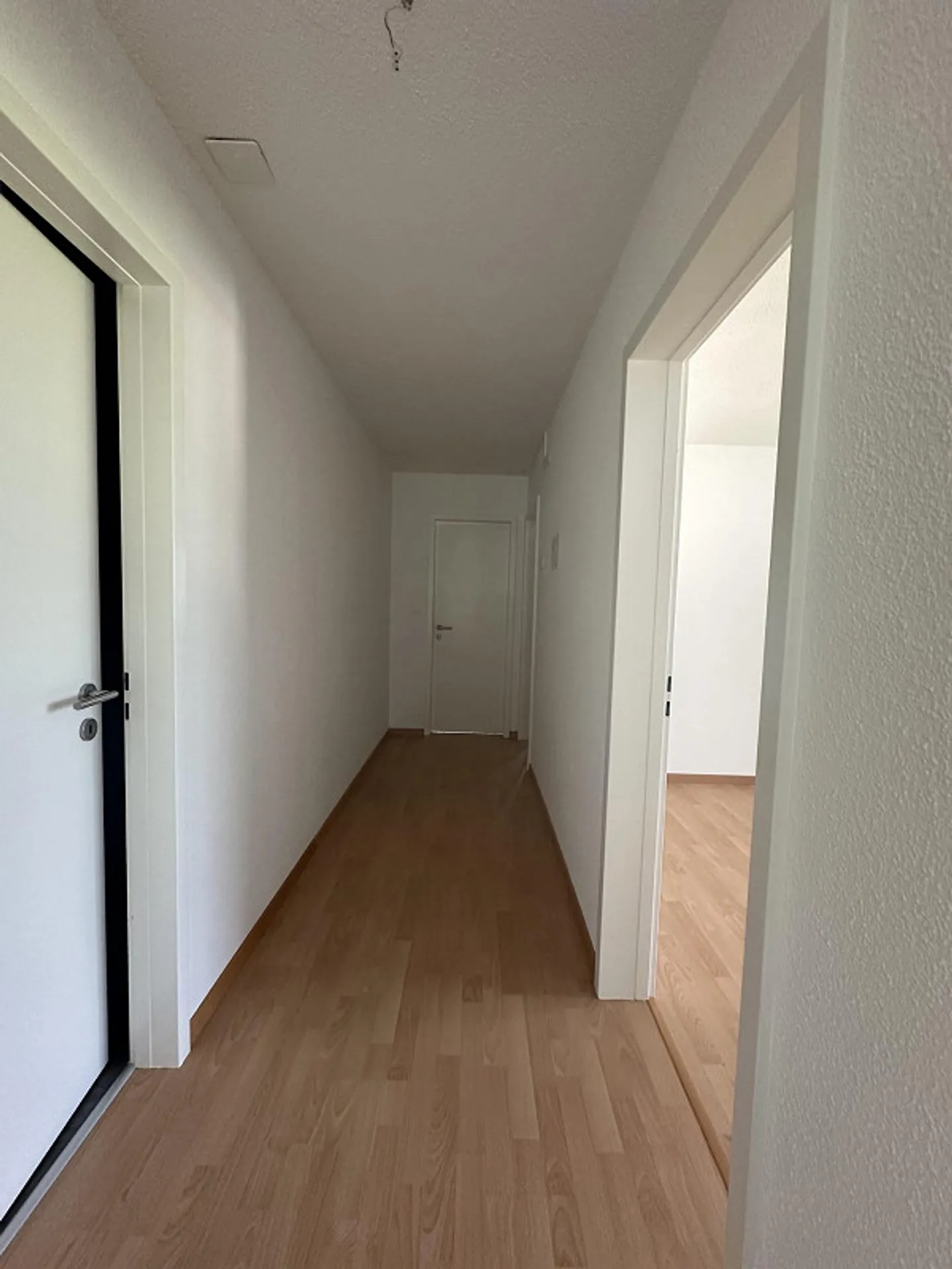 3.5 Room Apartment - Photo 9 of 12