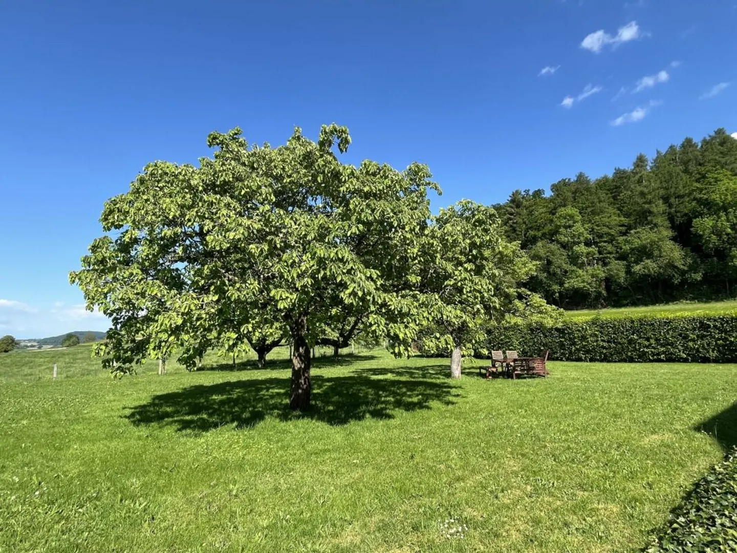 Prächtige Renovierte Villa - Foto 18 von 19