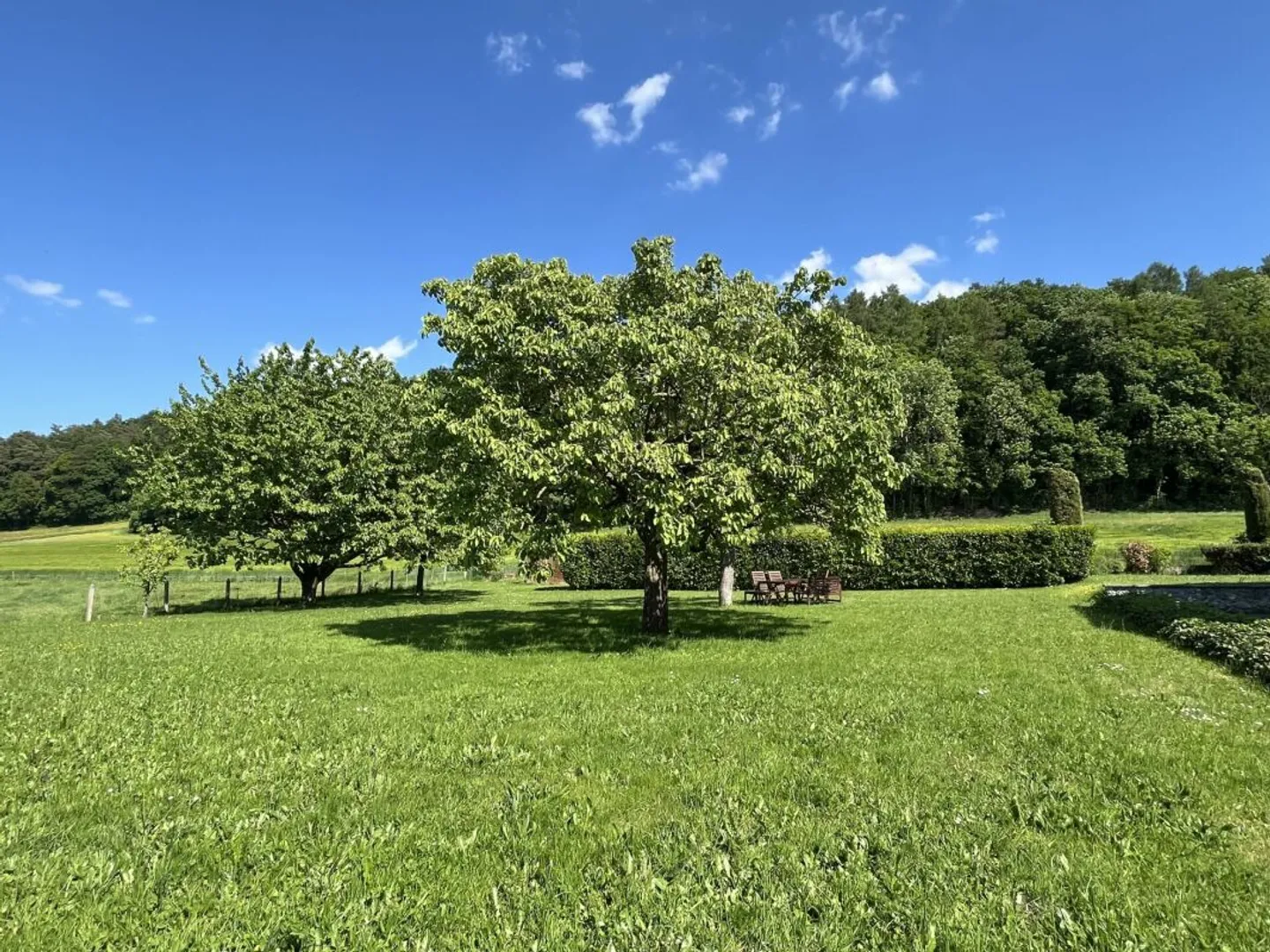 Prächtige Renovierte Villa - Foto 17 von 19