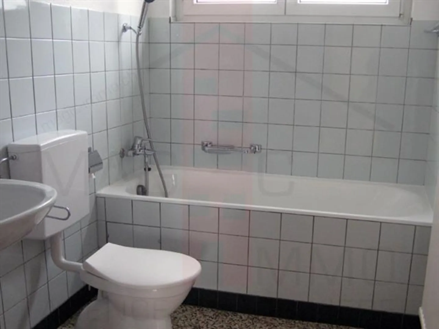 Building with 8 apartments with balcony, building land and beautiful view in Courtemaîche - Photo 6 of 6