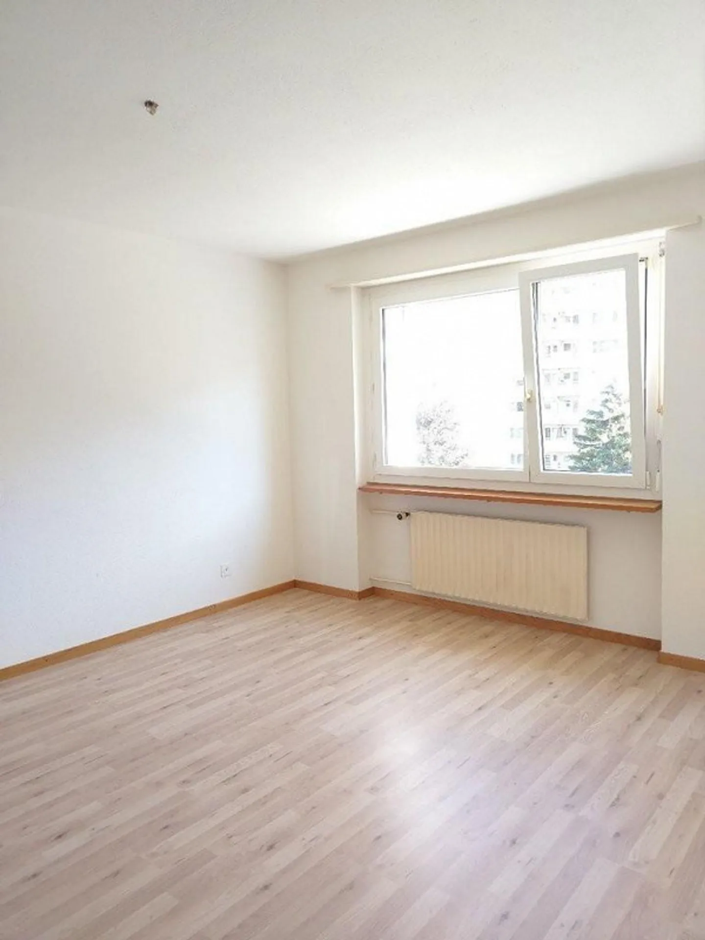 Appartement spacieux dans le quartier du Rhin - Photo 4 sur 6
