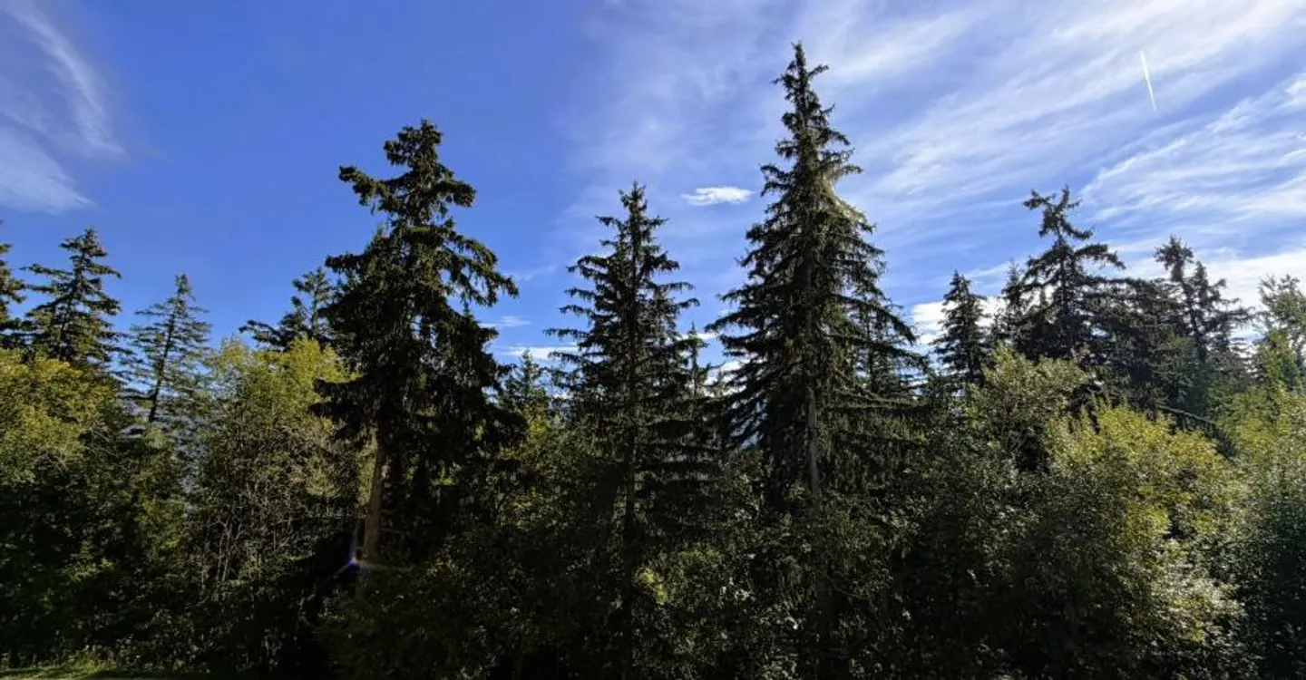 Chalet Neuf et Cosy - Photo 18 sur 19