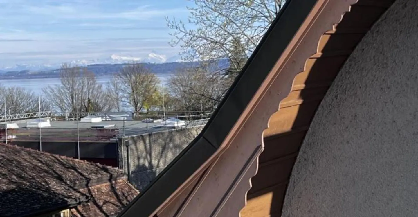 Magnificent duplex attic apartment - Photo 10 of 10