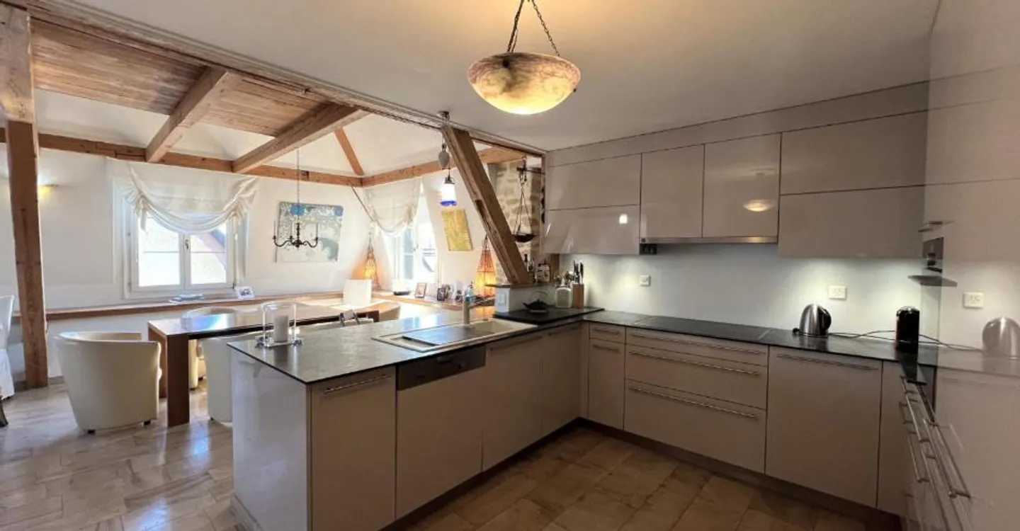 Magnificent duplex attic apartment - Photo 4 of 10