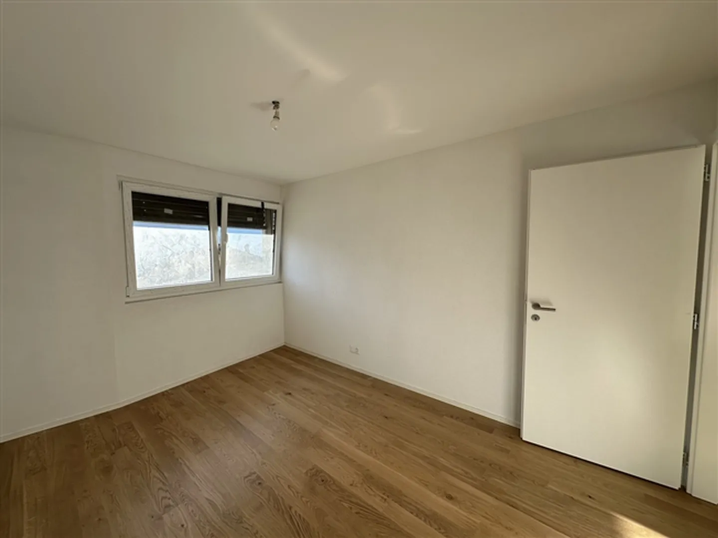 New Apartment - Photo 12 of 15