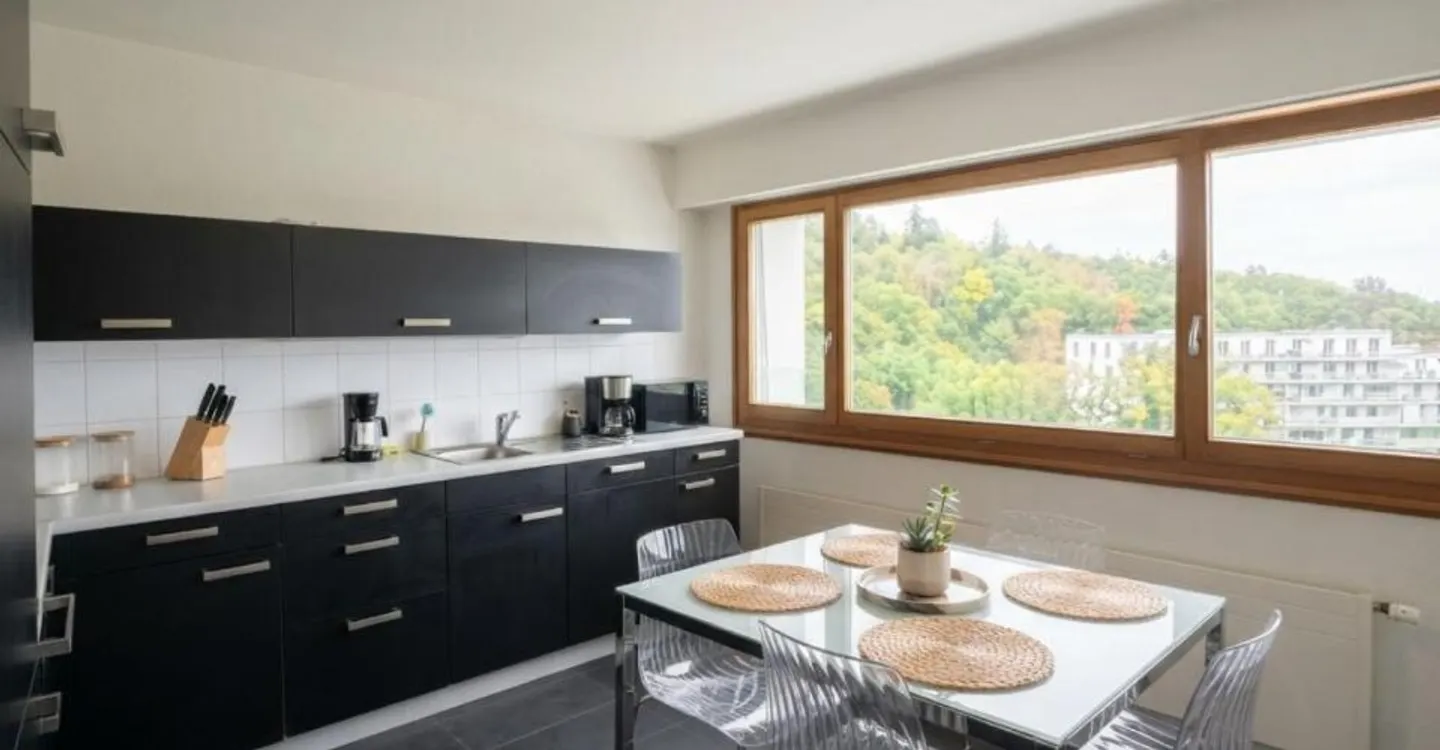 PANORAMIC VIEW OF THE LAKE - BRIGHT 2.5 ROOMS ON THE 13TH FLOOR - Photo 2 of 5