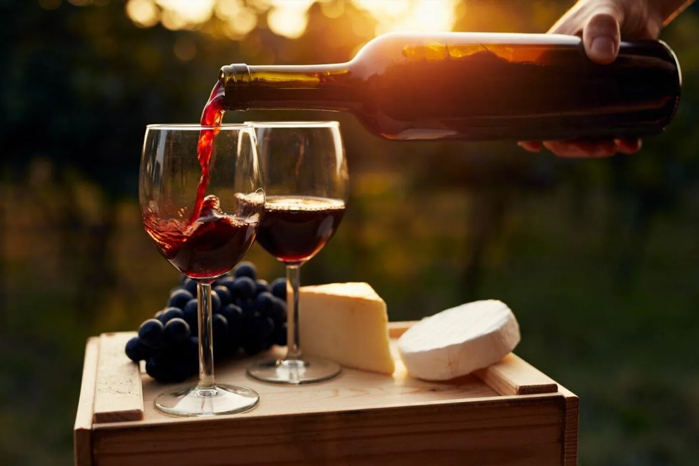 Entreprise de vente de boissons et de vins réussie avec activités événementielles - Photo 6 sur 8