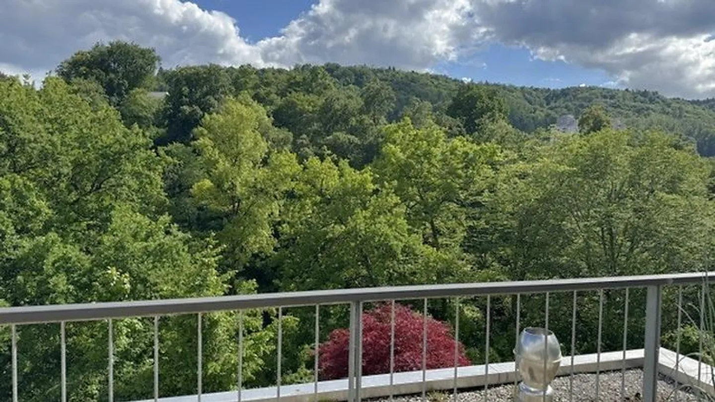 4½ ROOM APARTMENT IN NUSSBAUMEN (AG), FURNISHED, TEMPORARY - Photo 8 of 10