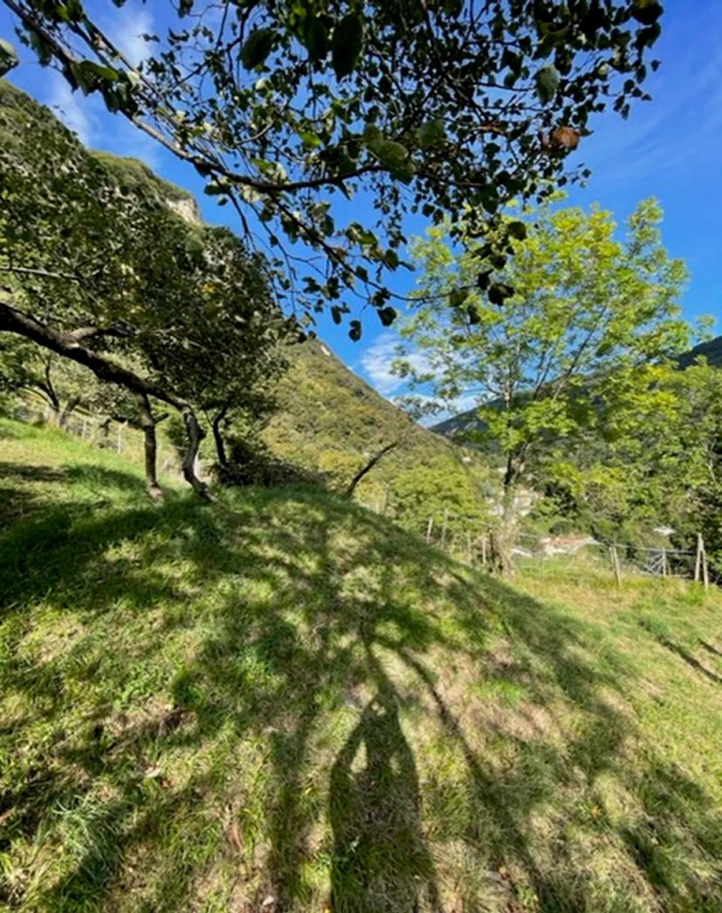 Terreno edificabile con licenza edilizia per 8 appartamenti - Foto 10 di 14