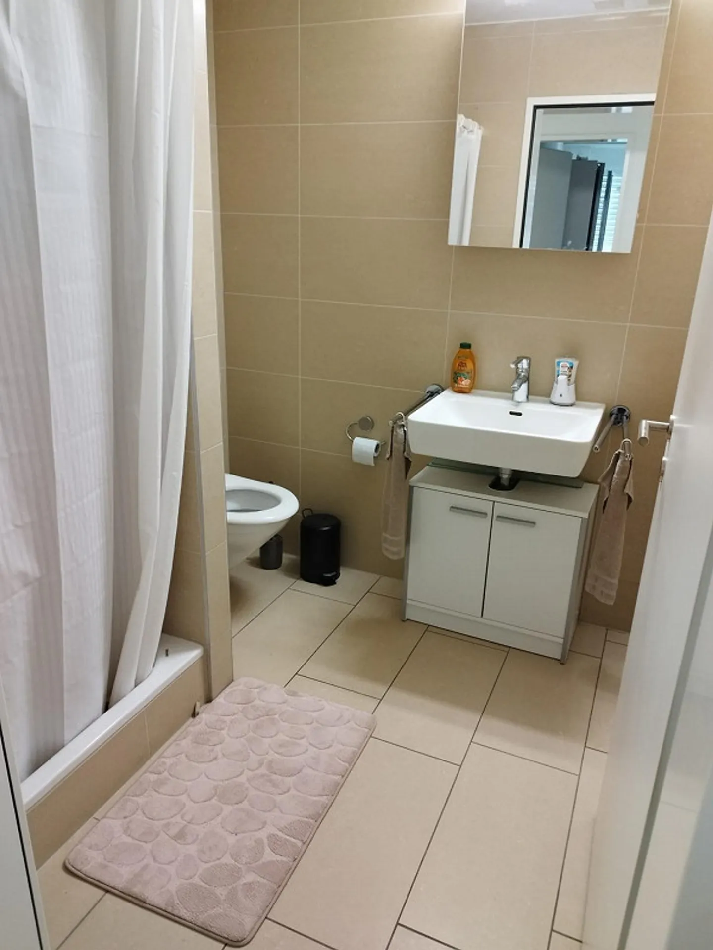 5.5-Room Family Apartment - Photo 7 of 11