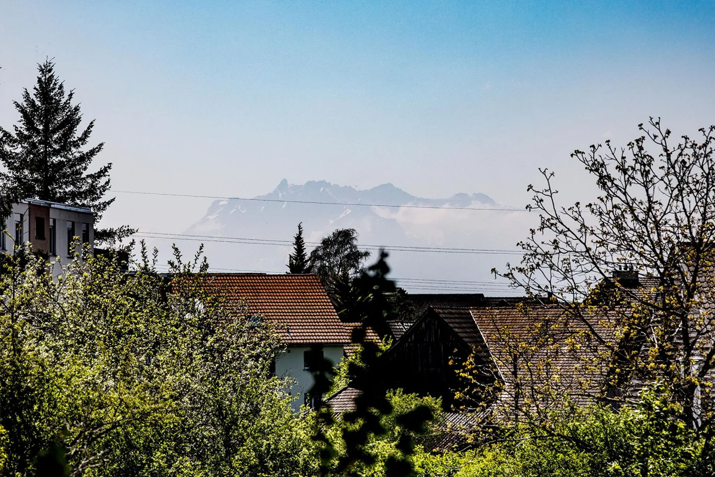 Condominio di 3,5 stanze spazioso, ben tenuto e tranquillo - Foto 17 di 20