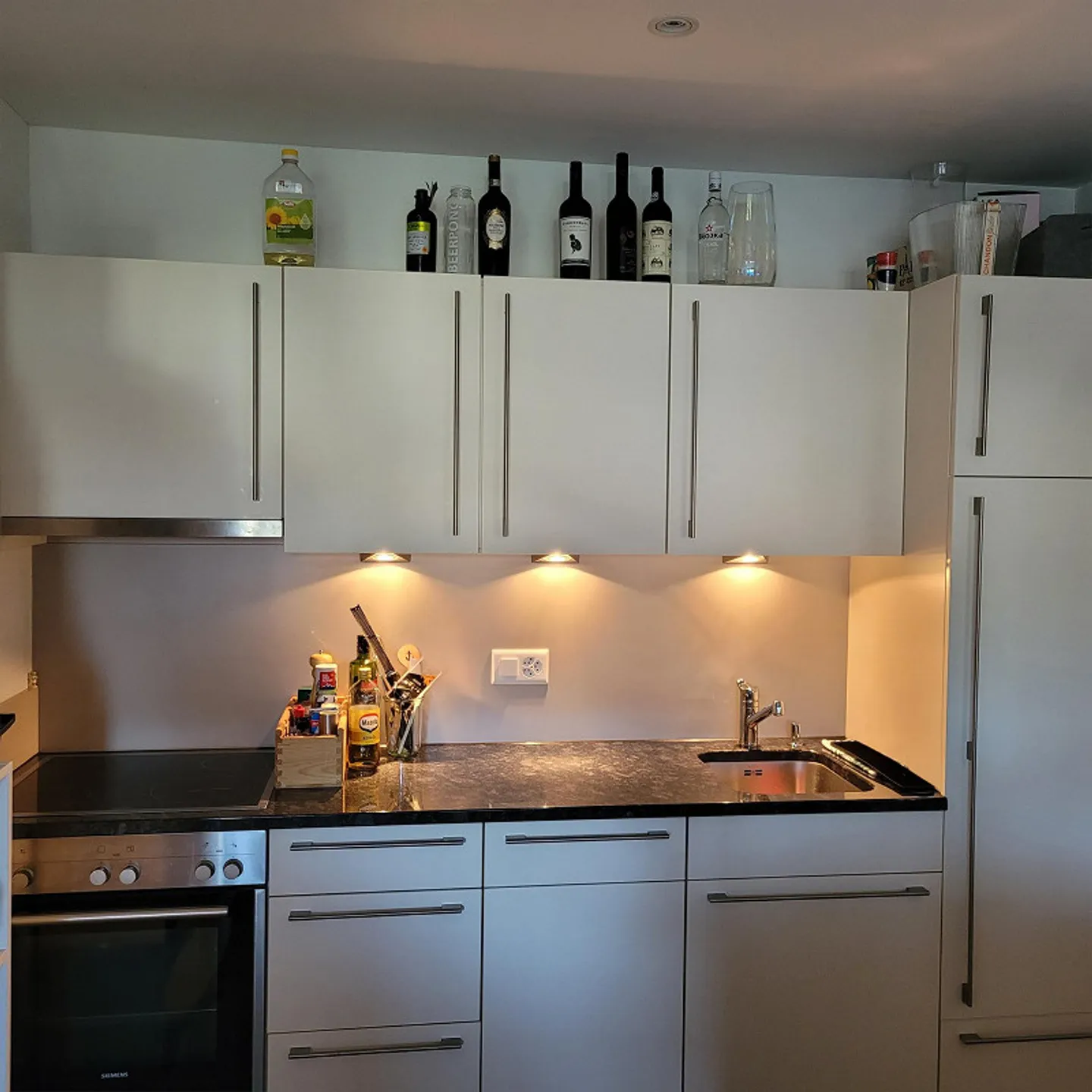Bellissimo grande appartamento di 2 stanze a Lupfig - Foto 5 di 5