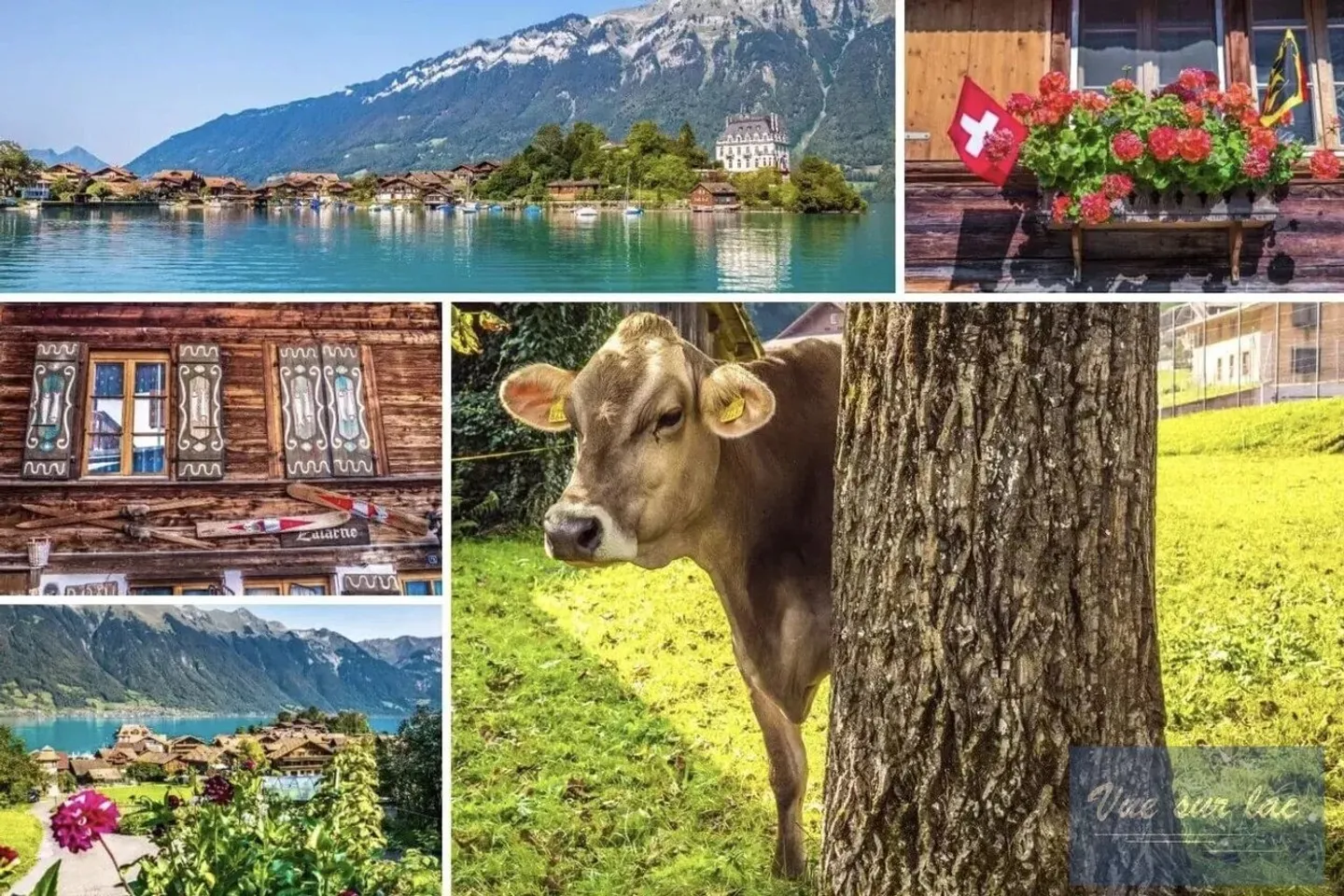 Votre duplex dans l'Oberland Bernois, la magie de la Suisse - Photo 13 sur 13