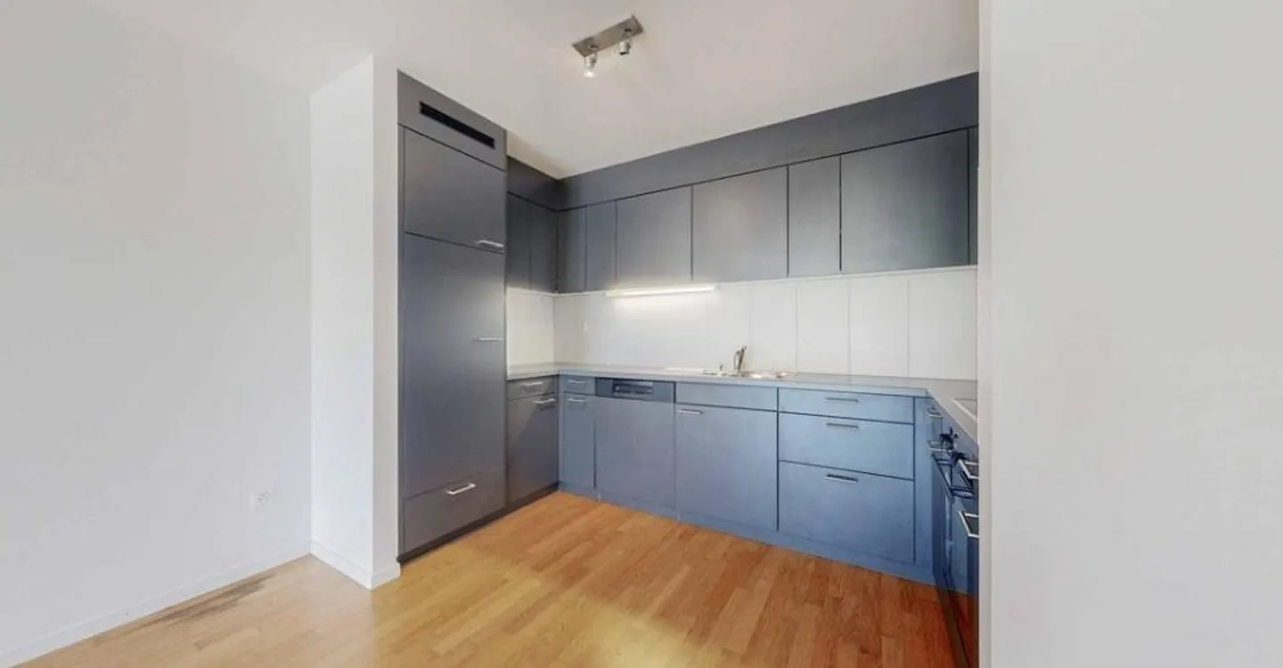 Spacious Apartment Near Lake - Photo 3 of 11