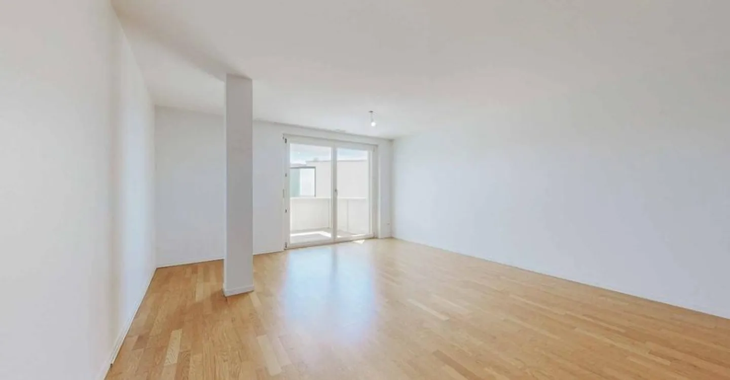 Spacious Apartment Near Lake - Photo 4 of 11