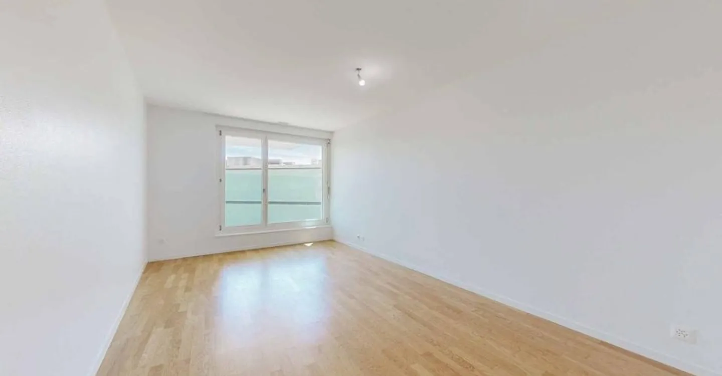 Spacious Apartment Near Lake - Photo 6 of 11