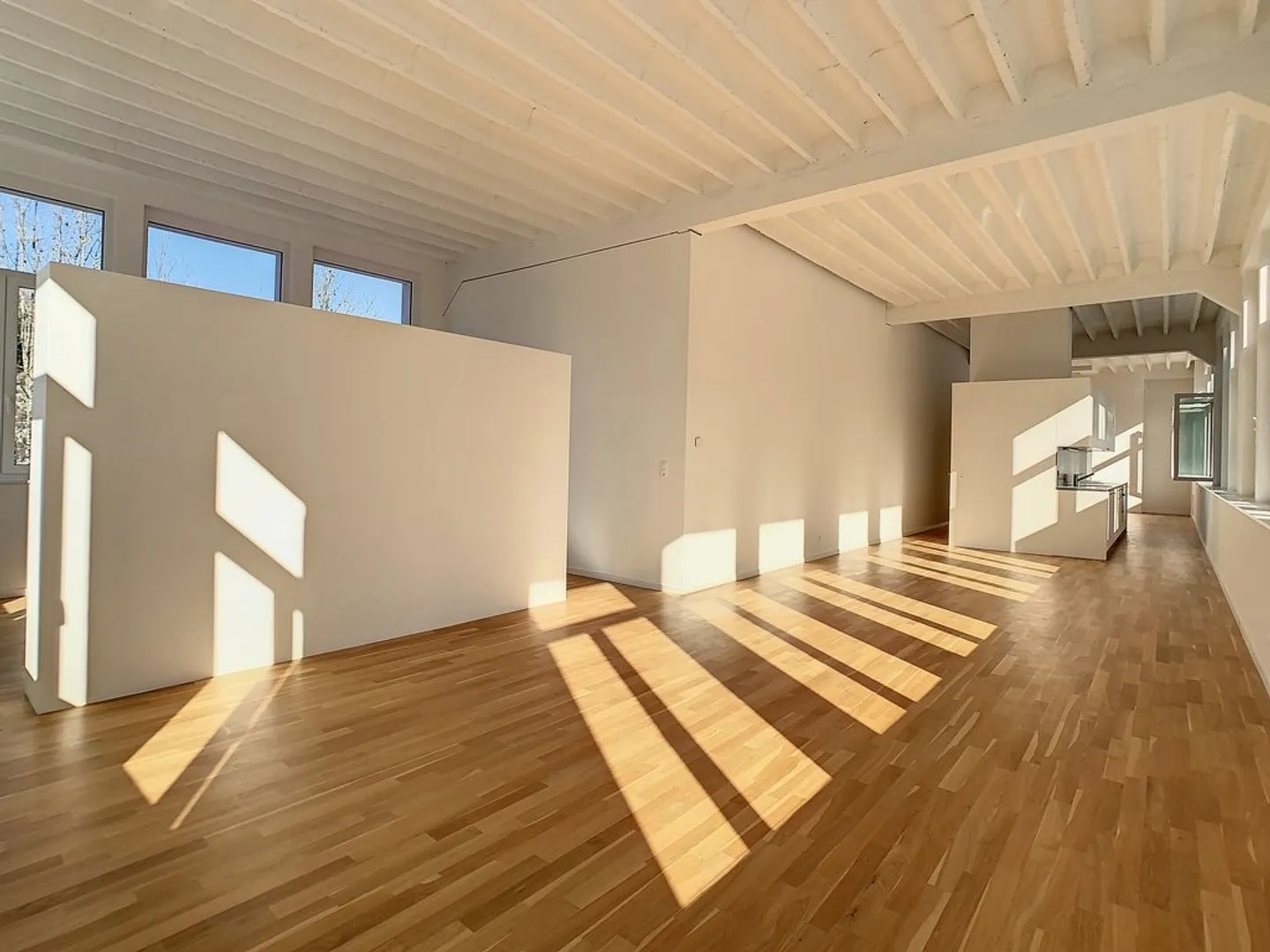 LOFT "THE WHIRLWIND" - Photo 2 of 9