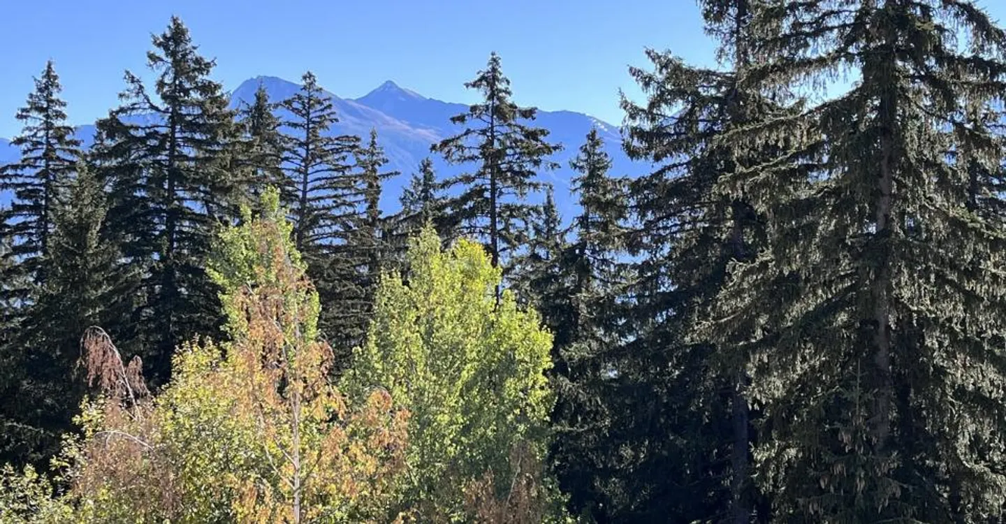 Crans-Forest B, 3,5 Zimmer, 2. Etage - Foto 11 von 12