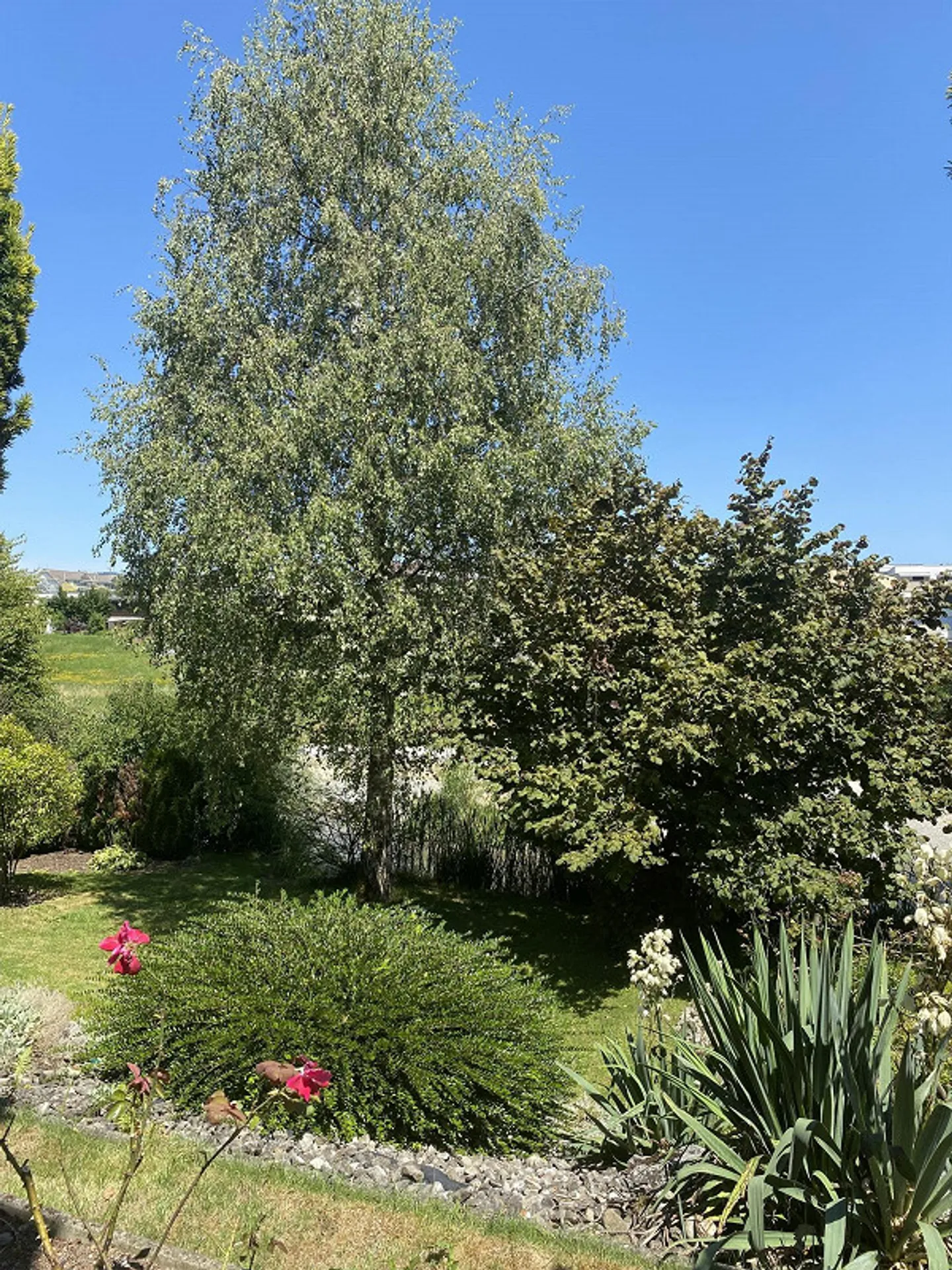 Einfamilienhaus zu vermieten in Oberkirch für CHF 2'850.00 / Monat - Foto 14 von 30