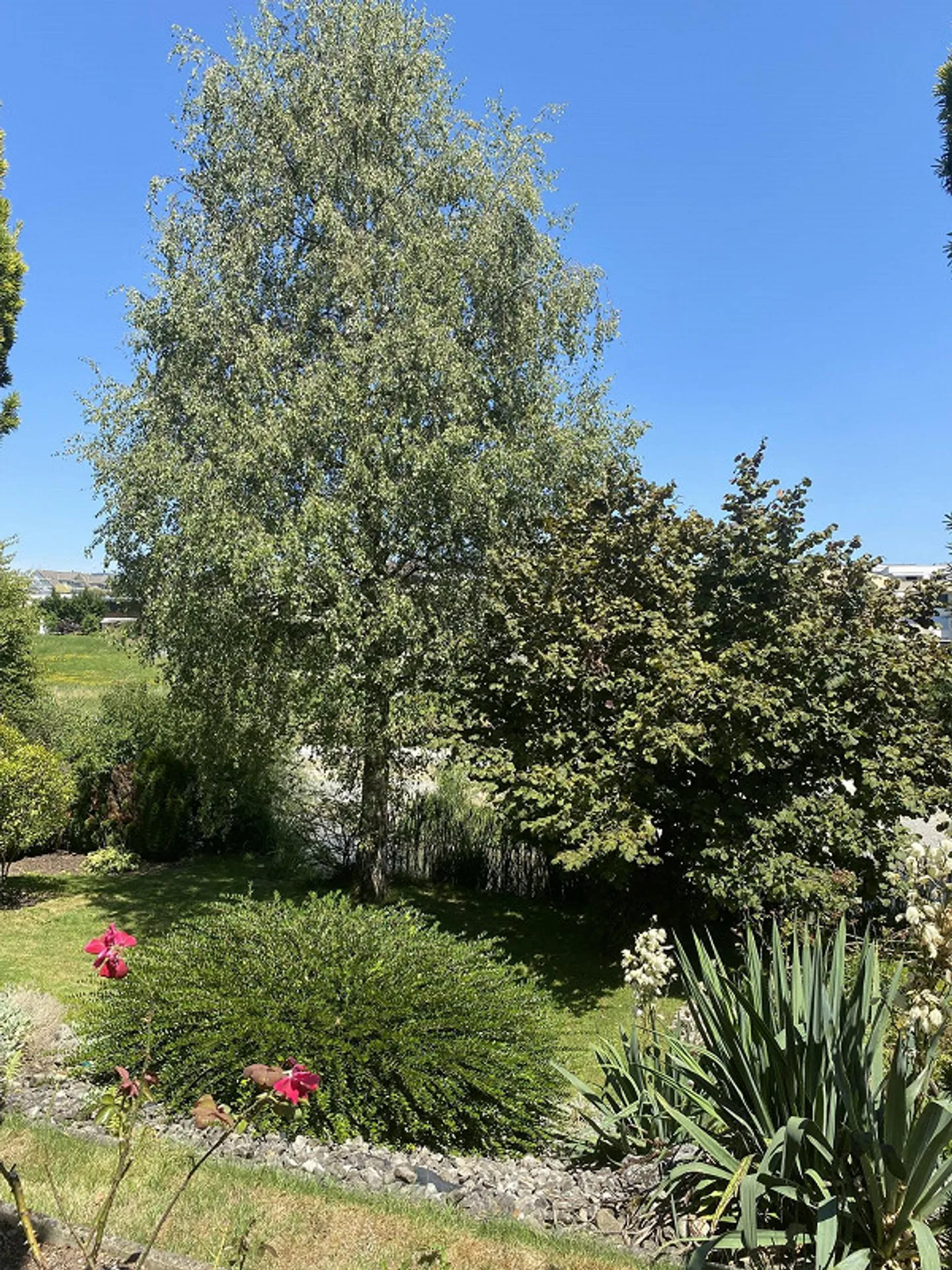 Einfamilienhaus zu vermieten in Oberkirch für CHF 2'850.00 / Monat - Foto 16 von 30