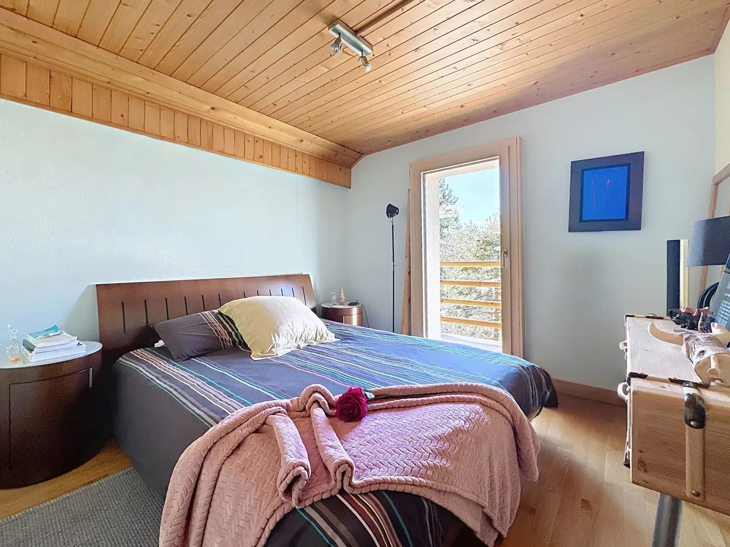 Panoramic view of Mont Blanc and Cime de l'Est - Photo 12 of 21