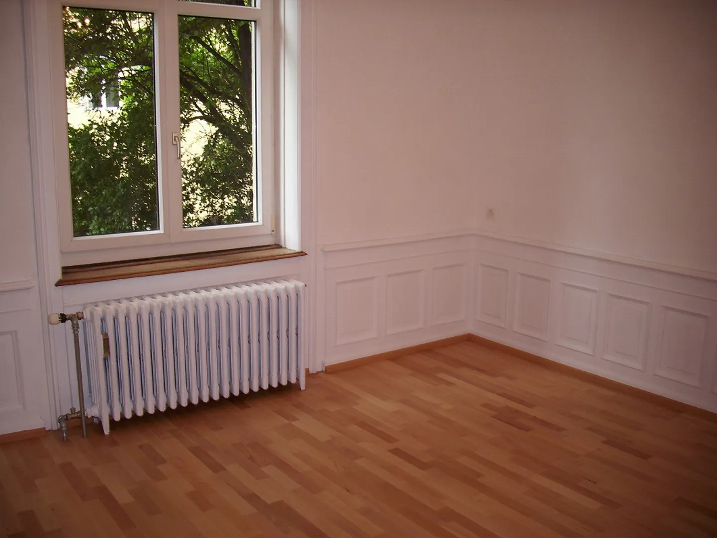 Jugendstilwohnung  renoviert, zentrale Lage und sehr ruhig! - Foto 3 von 13