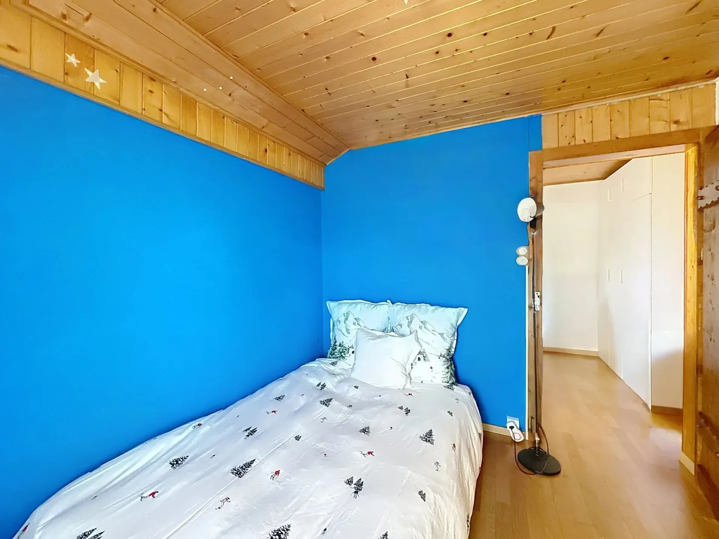 Panoramic view of Mont Blanc and Cime de l'Est - Photo 15 of 21