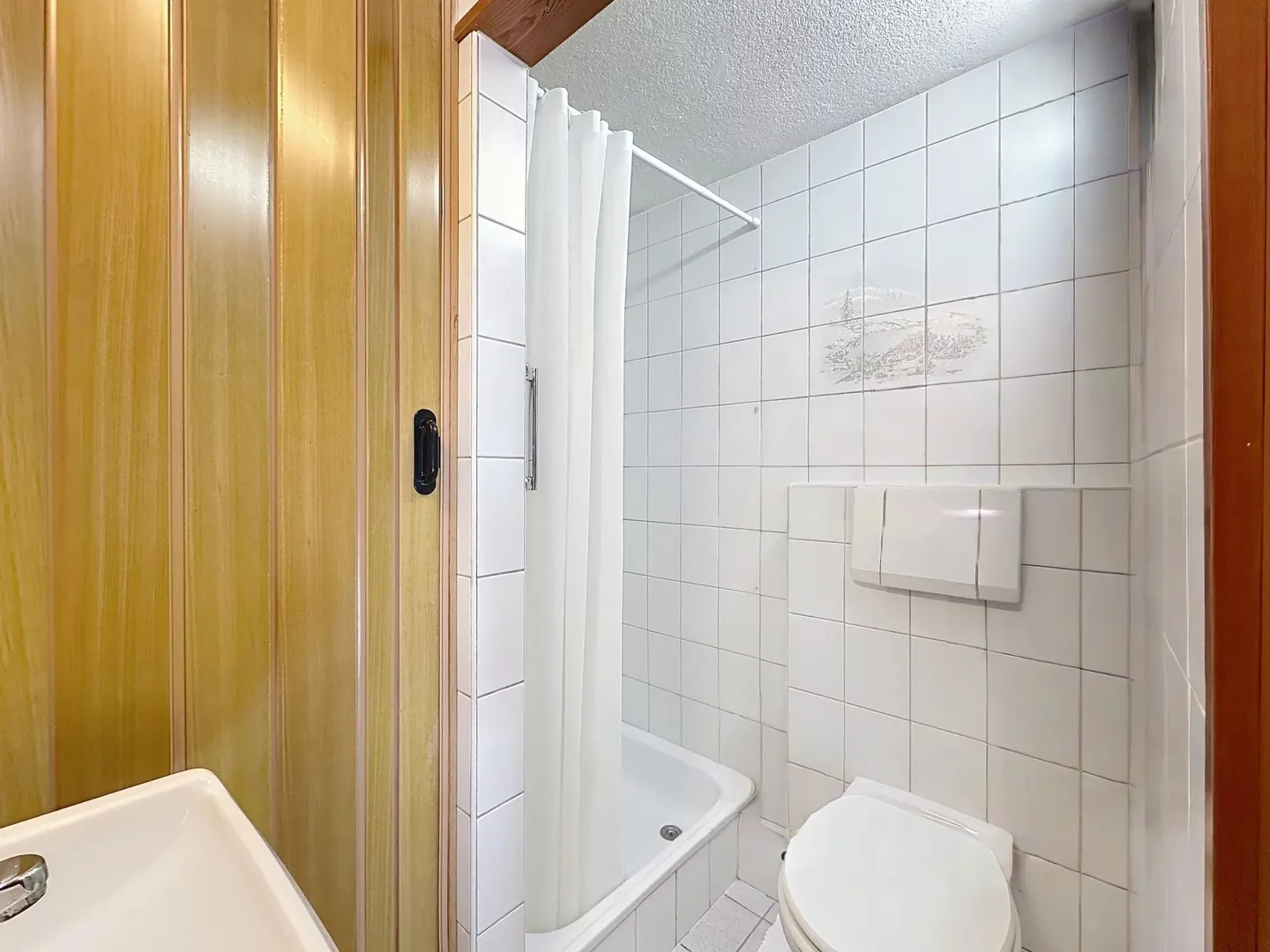 Panoramic view of Mont Blanc and Cime de l'Est - Photo 17 of 21