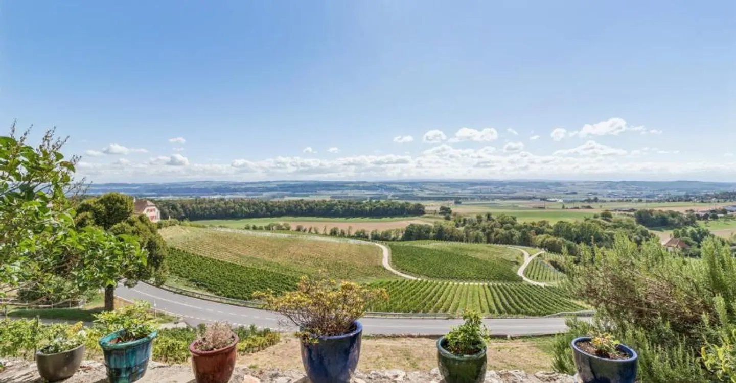 Maison de caractère avec une vue magnifique - Foto 4 di 12