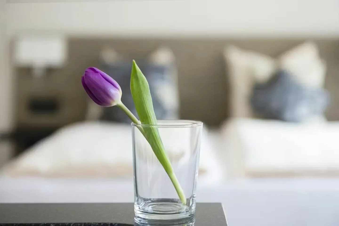 Apartment for rent - Photo 4 of 8