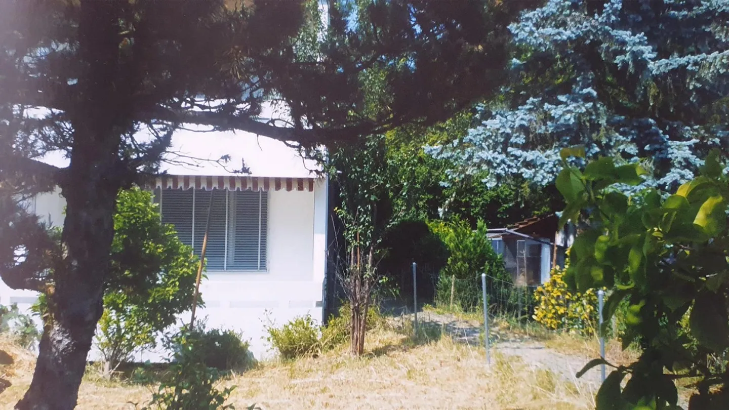 PROPRIETÀ INDIPENDENTE: VILLA O PROPRIETÀ A 3 GENERAZIONI VICINO AL BOSCO - Foto 3 di 23