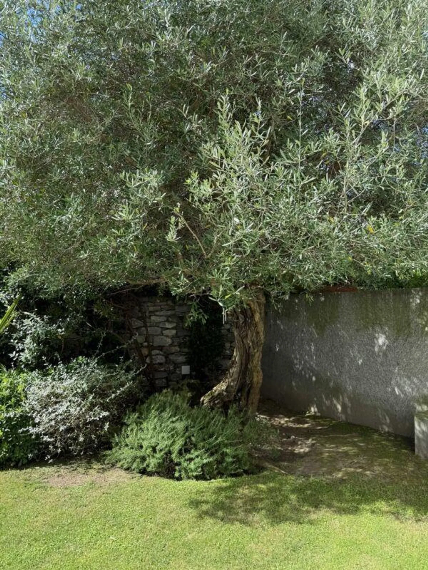 Ascona - Appartement 3.5 pièces de plus haut standing dans l'historique O... - Photo 14 sur 14