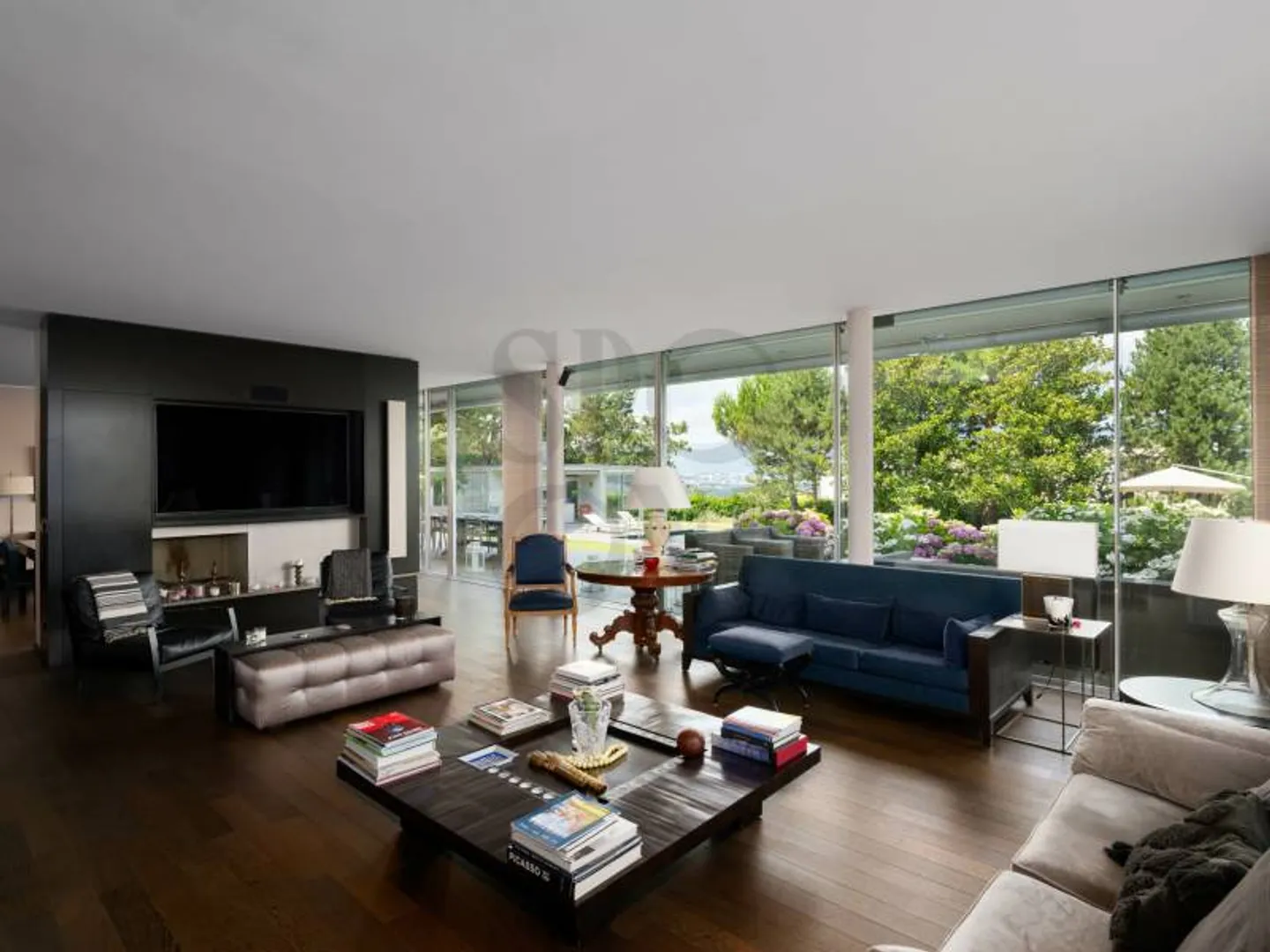 Magnifica Villa - Cologny - Foto 7 di 11