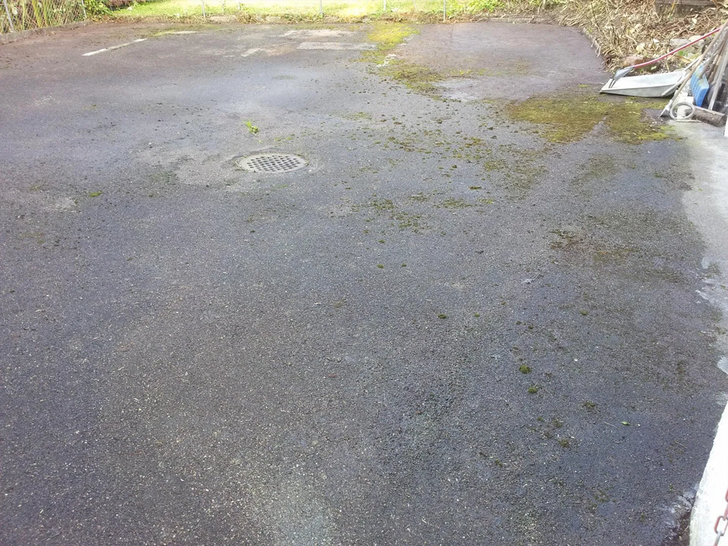 PROPRIETÀ INDIPENDENTE: VILLA O PROPRIETÀ A 3 GENERAZIONI VICINO AL BOSCO - Foto 18 di 23