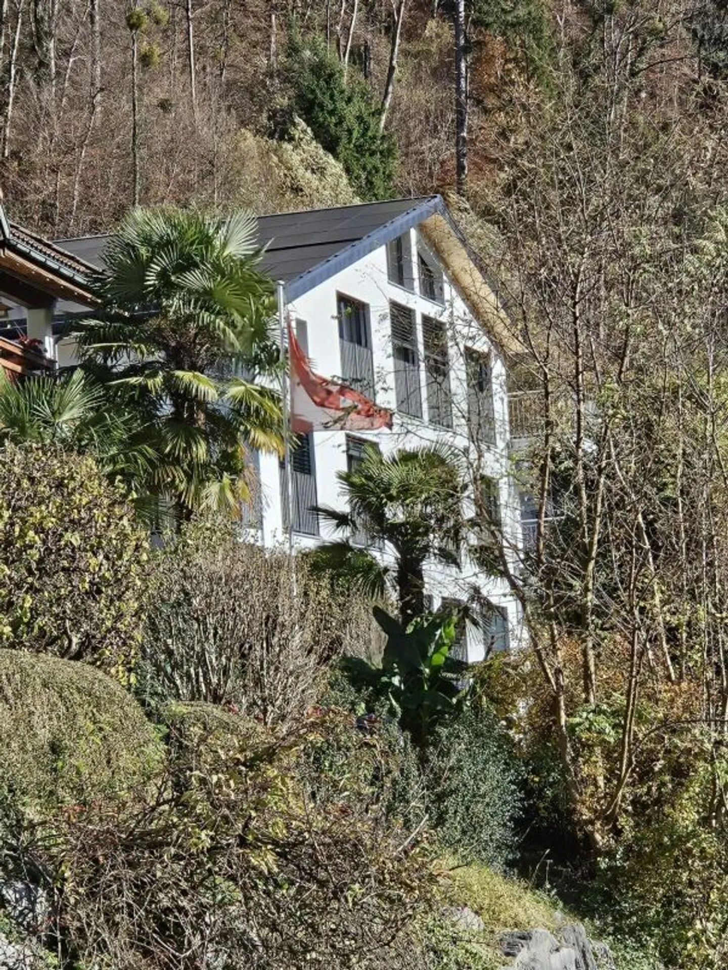 3½ Room New Apartment on the Ground Floor with Wonderful View - Photo 5 of 19